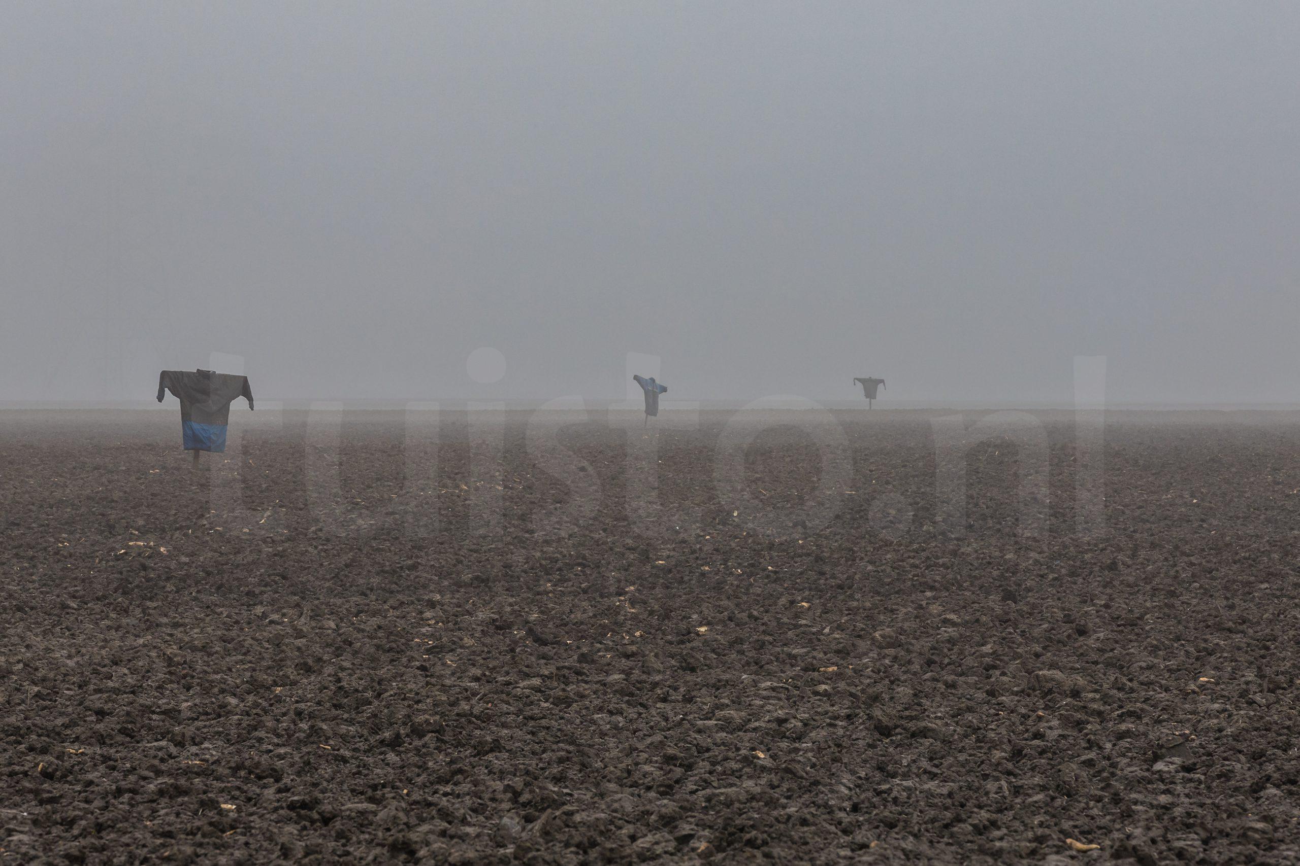 Scarecrows in the mist