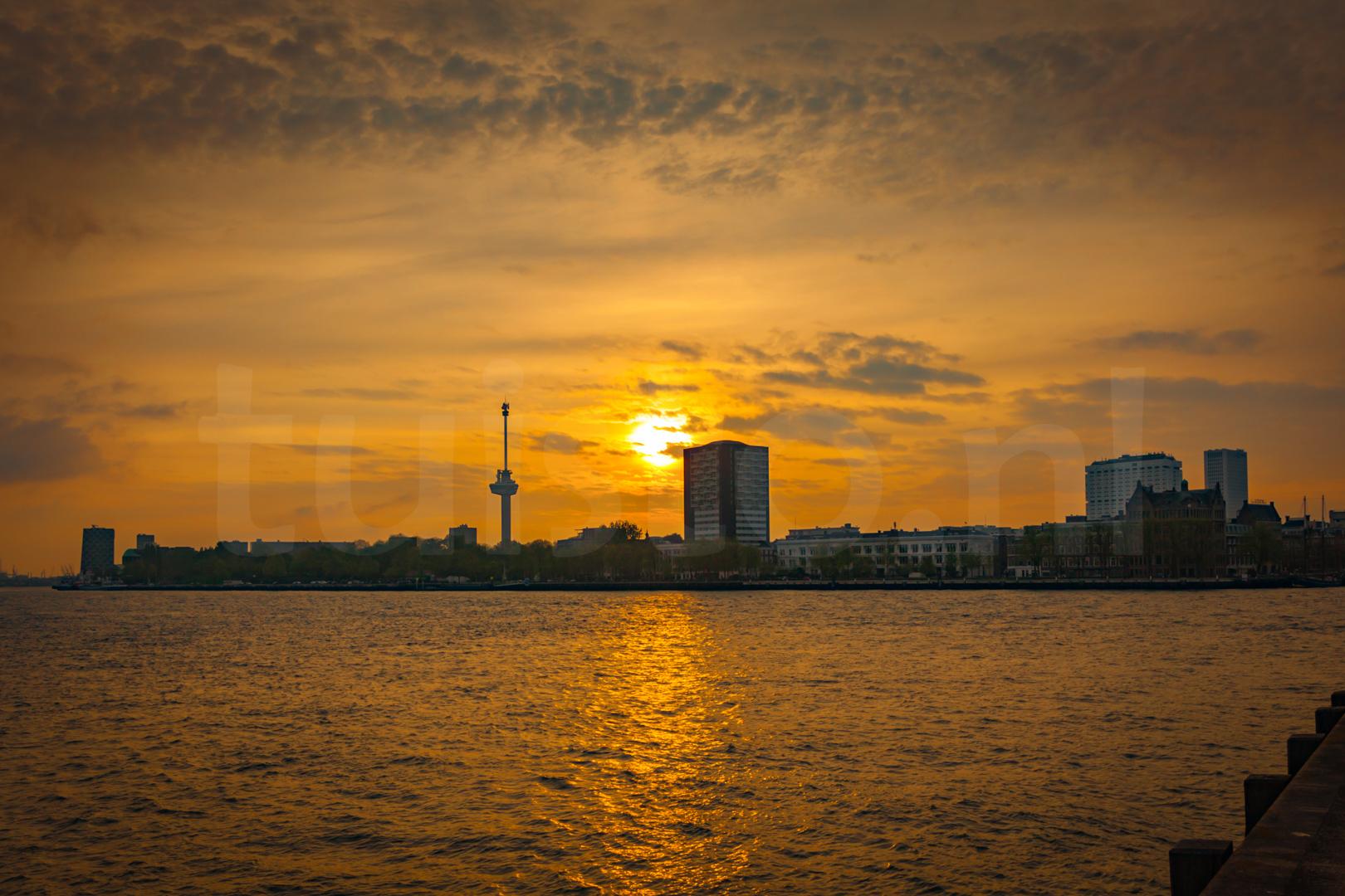 Rotterdam Sunset